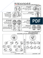 الانقسام الاختزالي 