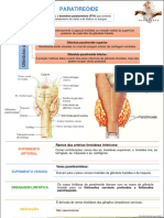 PARATIREOIDE