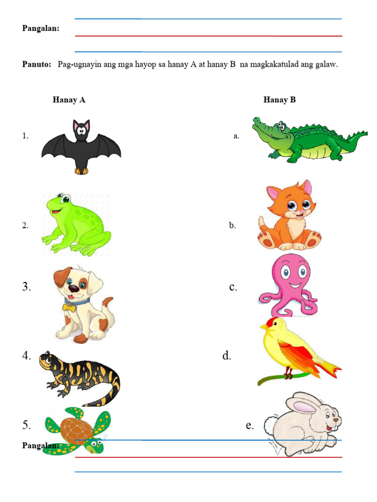 Animal Worksheets 3 | PDF