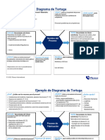 DIAGRAMA DE TORTUGA Plexus International 2023