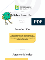 Fiebre Amarilla