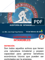 Auditoria de Intangibles Clase 3