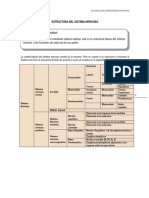 Estructura Sistema Nervioso Neurocienicias I