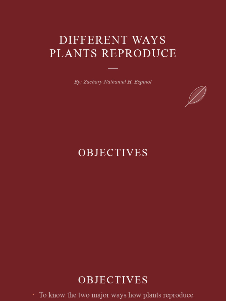Different Ways Plants Reproduce PDF Plant Reproduction Reproduction