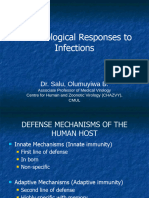 Immune Responses To Infection