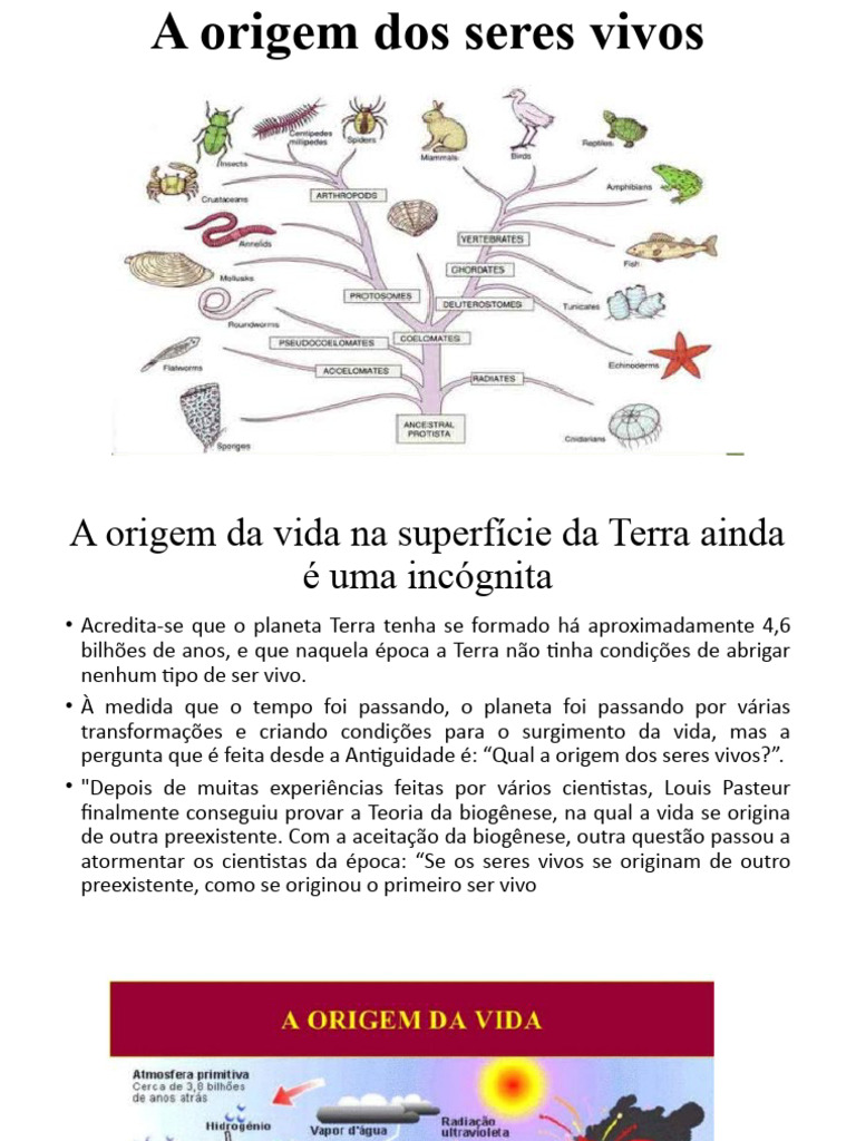 A Origem Dos Seres Vivos | PDF | Terra | Oceanos