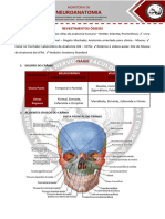 Roteiro Neuro 1 - Revestimentos Ósseos