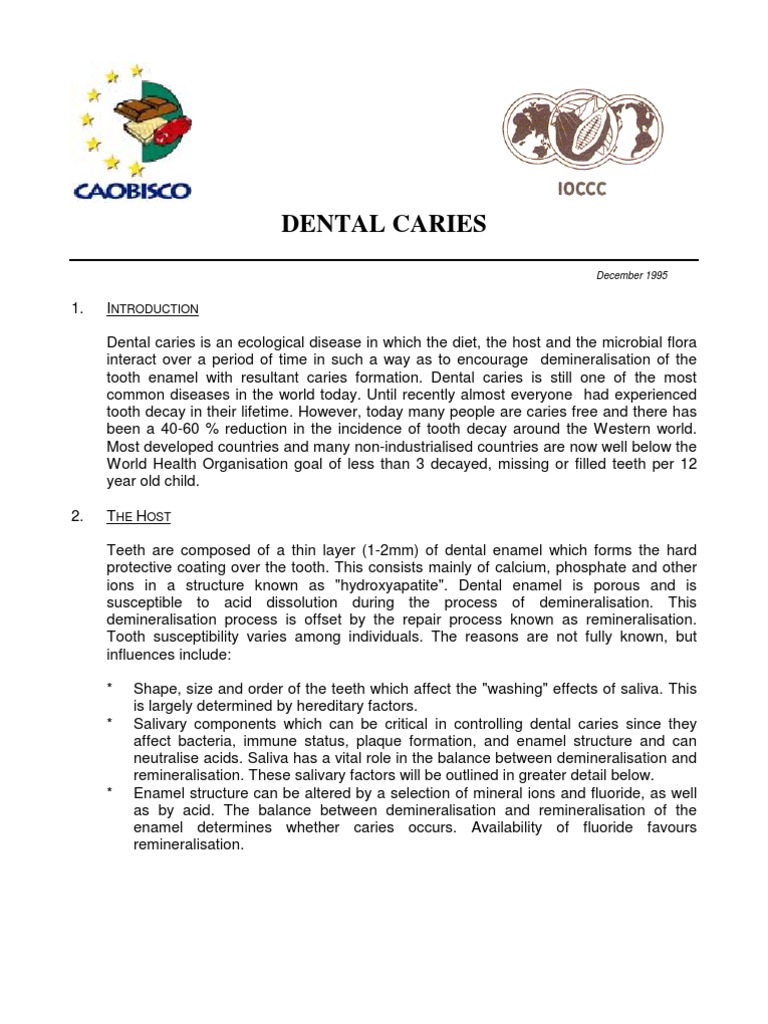Dental | PDF | Tooth Enamel | Dentistry