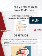 Tema 1 - Embrio, Histo Endócrino