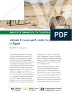 Climate Finance and Gender Inequality in Egypt