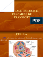 Curs 4 BIOFIZ