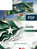 Research Report - Public Opinion Poll in Punjab (January 31, 2024)