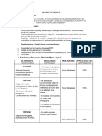 Primer Informe Quincenal. JM