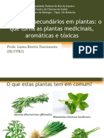 Metabólitos Secundários em Plantas - Plantas Medicinais, Aromáticas e Tóxicas