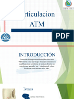 Articulacion ATM 1.0