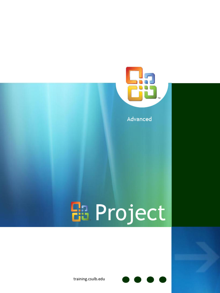 Advanced Project 2007 Guide | PDF | Menu (Computing) | Software