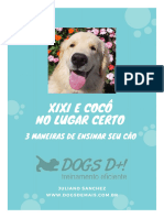 Cachorro - XIXI E COCO NO LUGAR CERTO