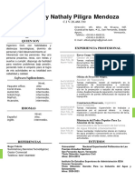 Curriculum Vitae Albany N Piligra-convertido