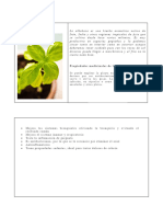 Plantas Medicinales