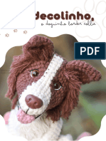 Border Collie Bordecolinho I2asqc