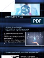 Curriculum Vitae de