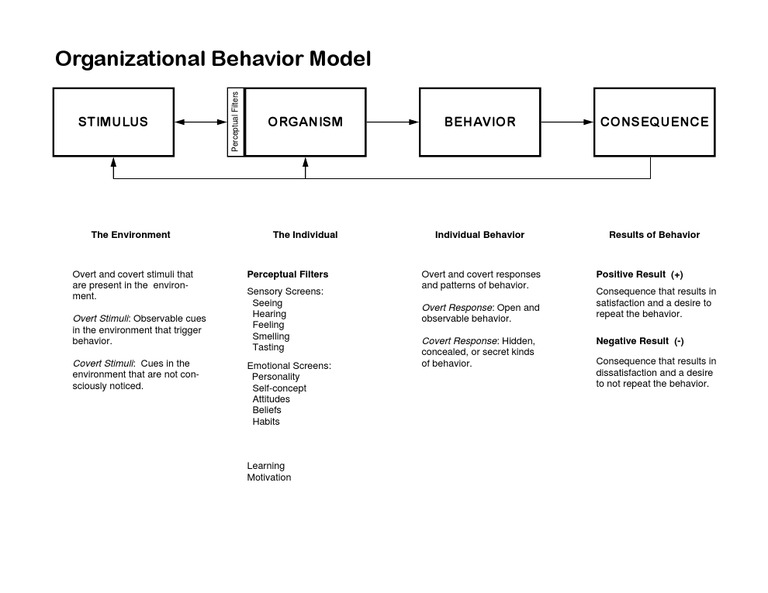 OB Model | PDF | Career & Growth | Science & Mathematics