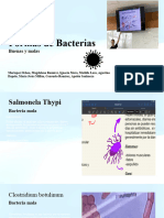Formas de Bacterias