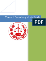 Tema 1 Derecho y División de Poderes