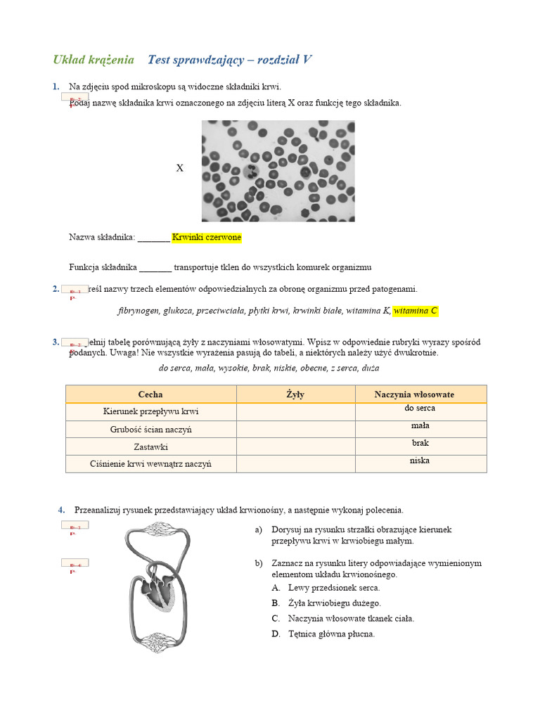 Sprawdzian Z Biologii Klasa 7 Dział 5 Układ Krążenia Pdf Natalia Sadowska - Układ Krążenia Test Sprawdzający | PDF