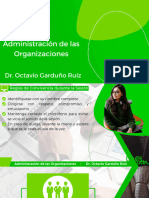 S2. Teoria Organizacional