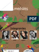 Presentacion (169) Animales y Naturaleza Ilustrado Café y Verde - 20231116 - 203501 - 0000
