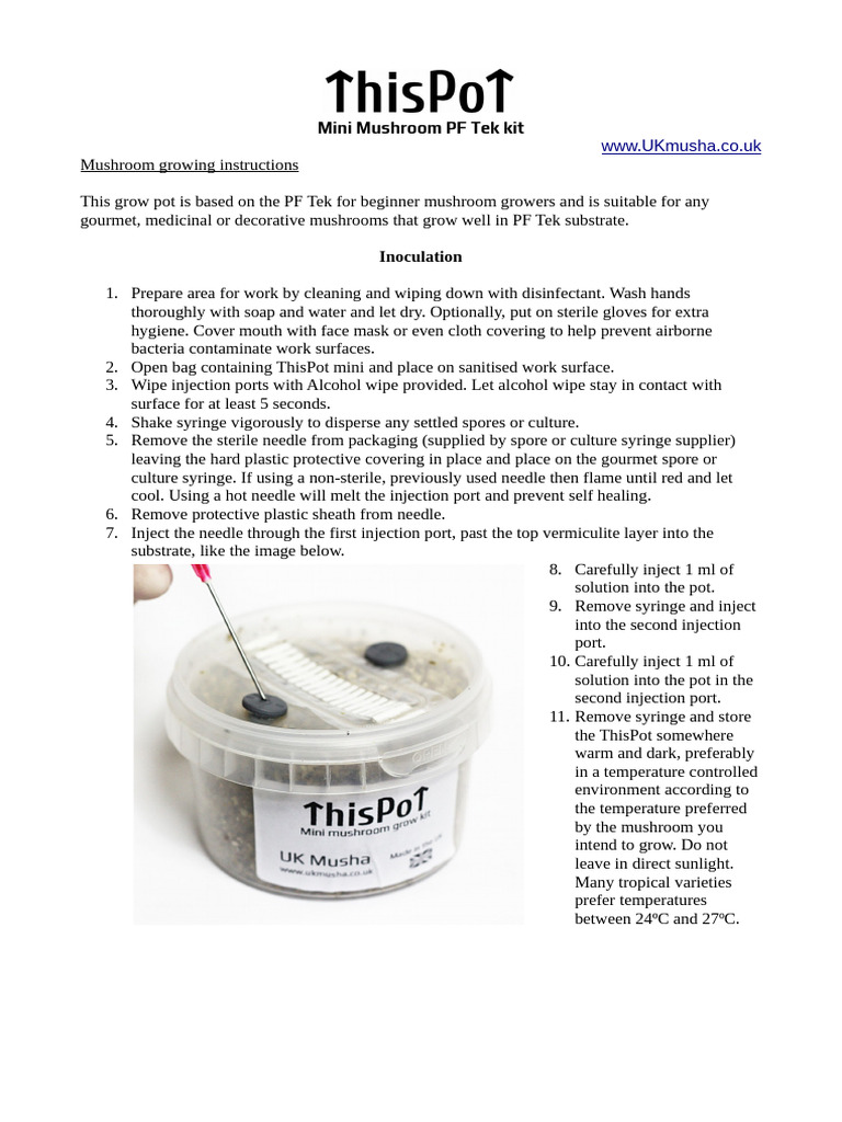 Beginner's Guide to Mushroom Growing | PDF | Injection (Medicine) | Syringe