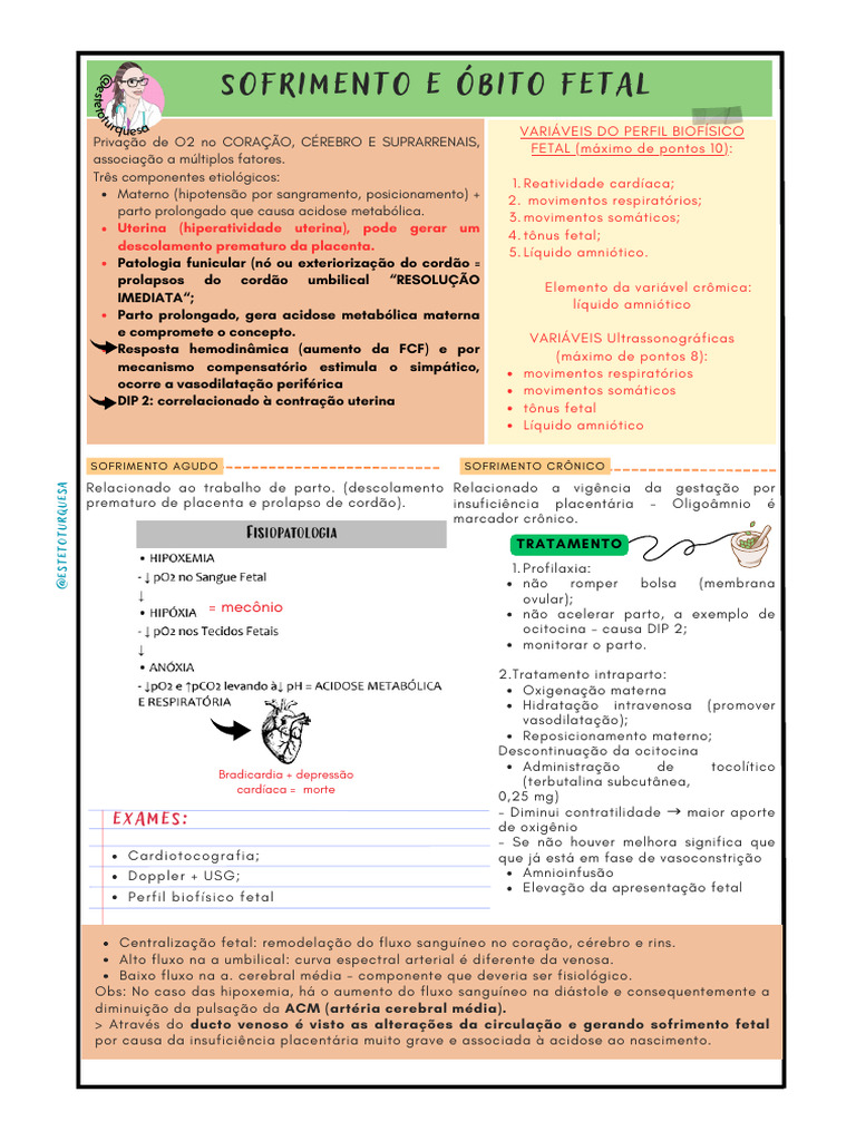 Sofrimento Fetal e Óbito Fetal - GO | PDF | Parto | Coração