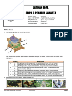 Latihan Soal IPA PTS