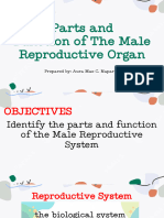 Parts and Functions of Male Reproductive Organ1!31!24