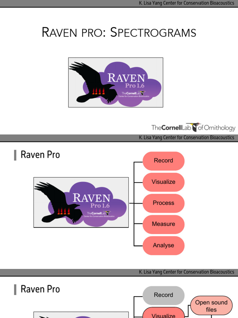 Raven Pro: Spectrograms Overview | PDF | Hertz | Sound