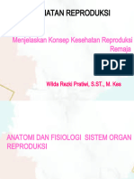 II Anatomi Fisiologi Kesehatan Reproduksi