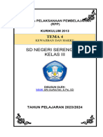 RPP-Tema 4