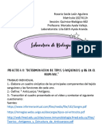 PRÁCTICA V. DETERMINACIÓN DE TIPOS SANGUÍNEOS Y RH EN EL HUMANO