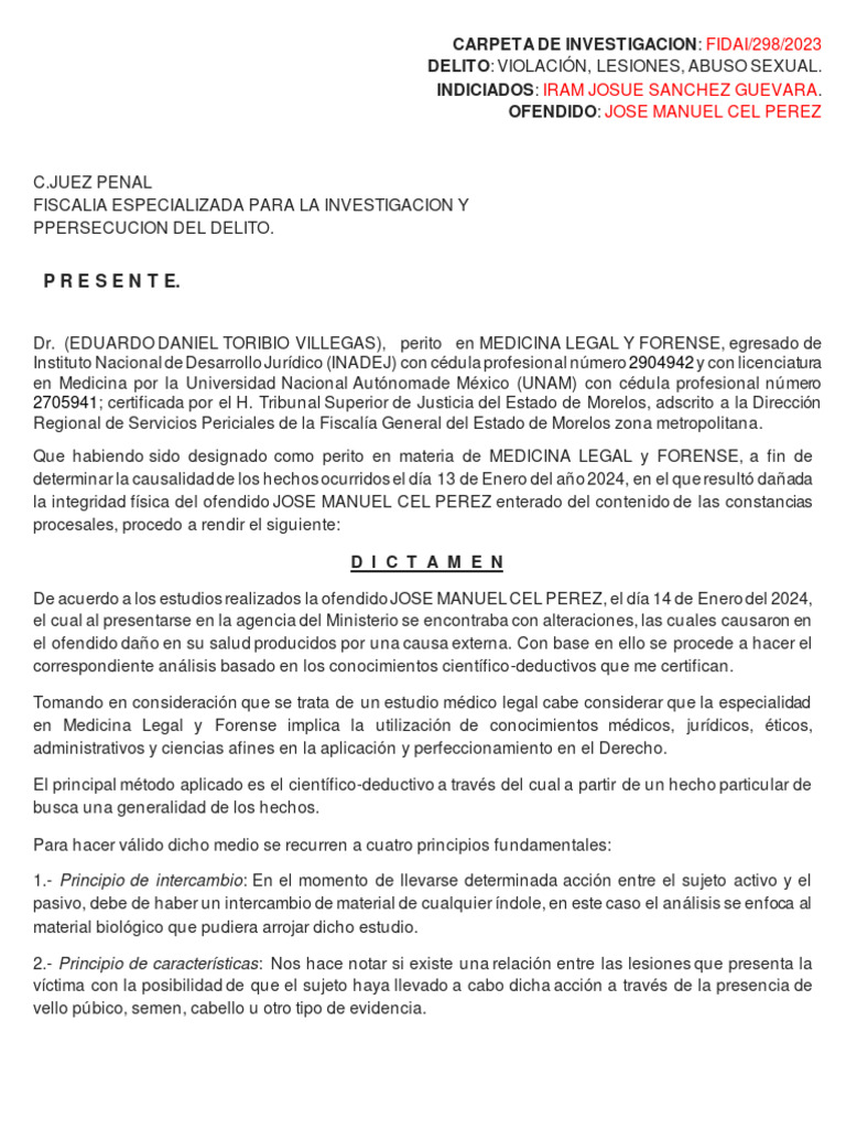 Dictamen Producto Integrador | PDF | Testigo experto | Violación