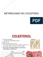 Colesterol