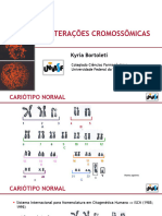 Alteracoes Cromossomicas Numericas 20023 1