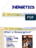 Bio Energetics