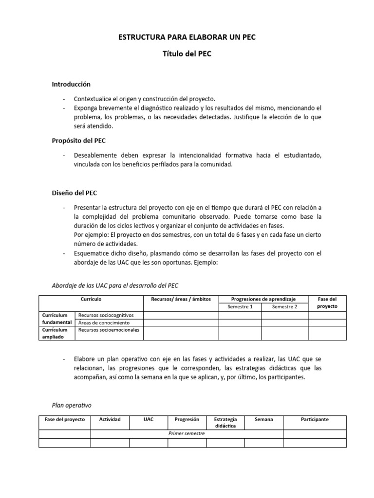 Estructura para Elaborar un PEC | PDF | Informática
