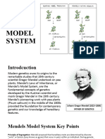 Mendel Model System Report