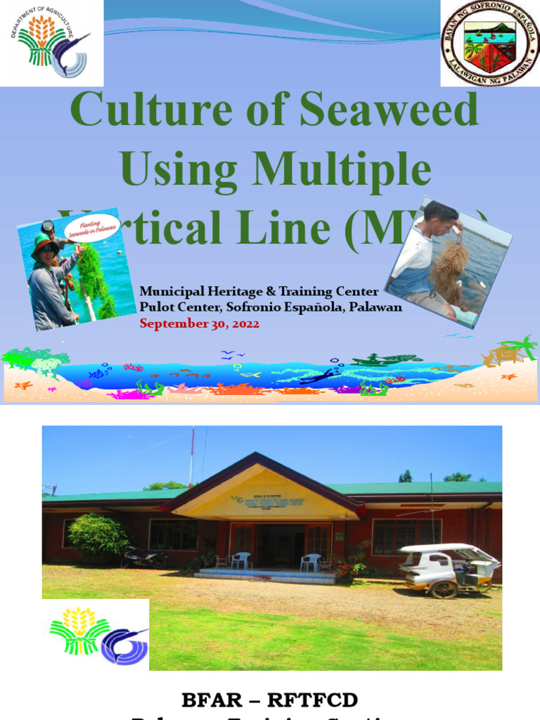 Seaweed Farming and Processing Guide | PDF | Seaweed | Marine Biology