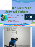  Seaweeds