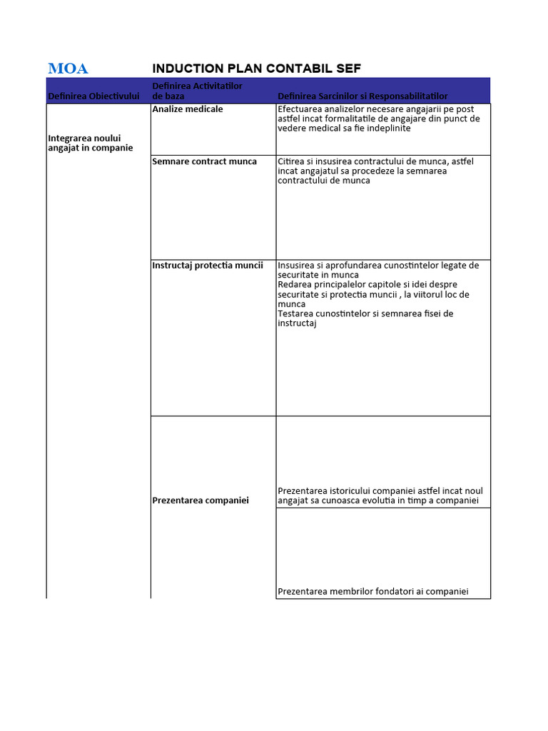 Induction Plan Contabil Sef | PDF