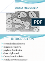 Sterptococci 1