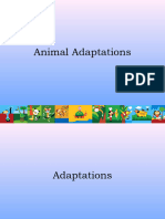 Adaptations